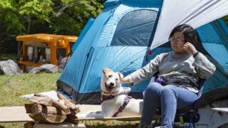 犬連れOKの有料キャンプ場